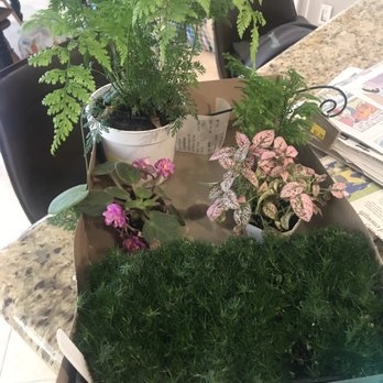 M & M Nursery - Our fairy garden supplies - Nurseries & Gardening Near Me - Orange, California