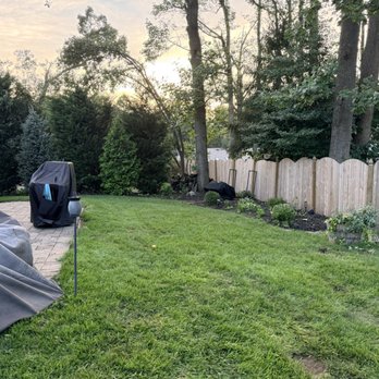 Smart Tree Service - Post clean u of the same section of yard - Tree Services Near Me - Lindenwold, New Jersey