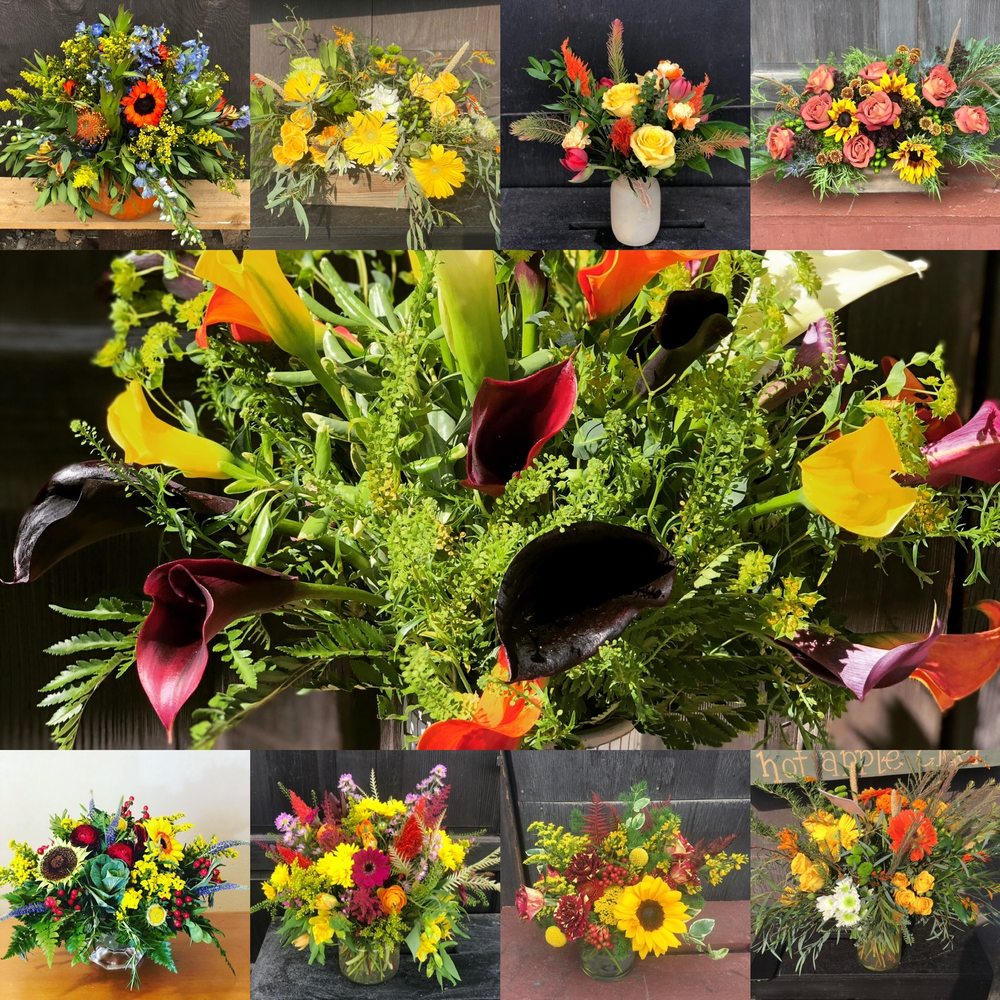 BEARTOOTH FLORAL & GIFTS Updated August 2024 10 Photos 1316 Beck