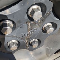 Tire Kingdom