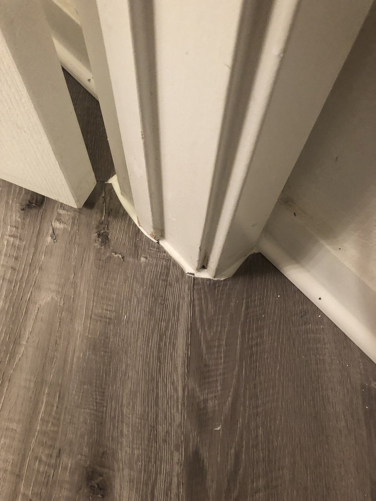 REDICARPET SALES OF ARIZONA Updated August 2024 4535 E Elwood St