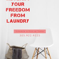 Iron & Steam Modern Cleaners