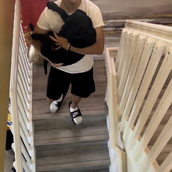 Paws Across Dade Dog Training - Carrying Neo down since he was so afraid. - Pet Training Near Me Paws Across Dade Dog Training - Carrying Neo down since he was so afraid. - Pet Training Near Me
