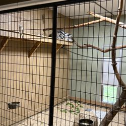Garlyn Zoo