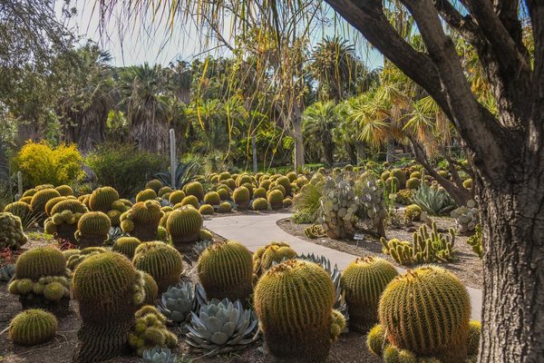 The Huntington Library, Art Museum, and Botanical Gardens by null