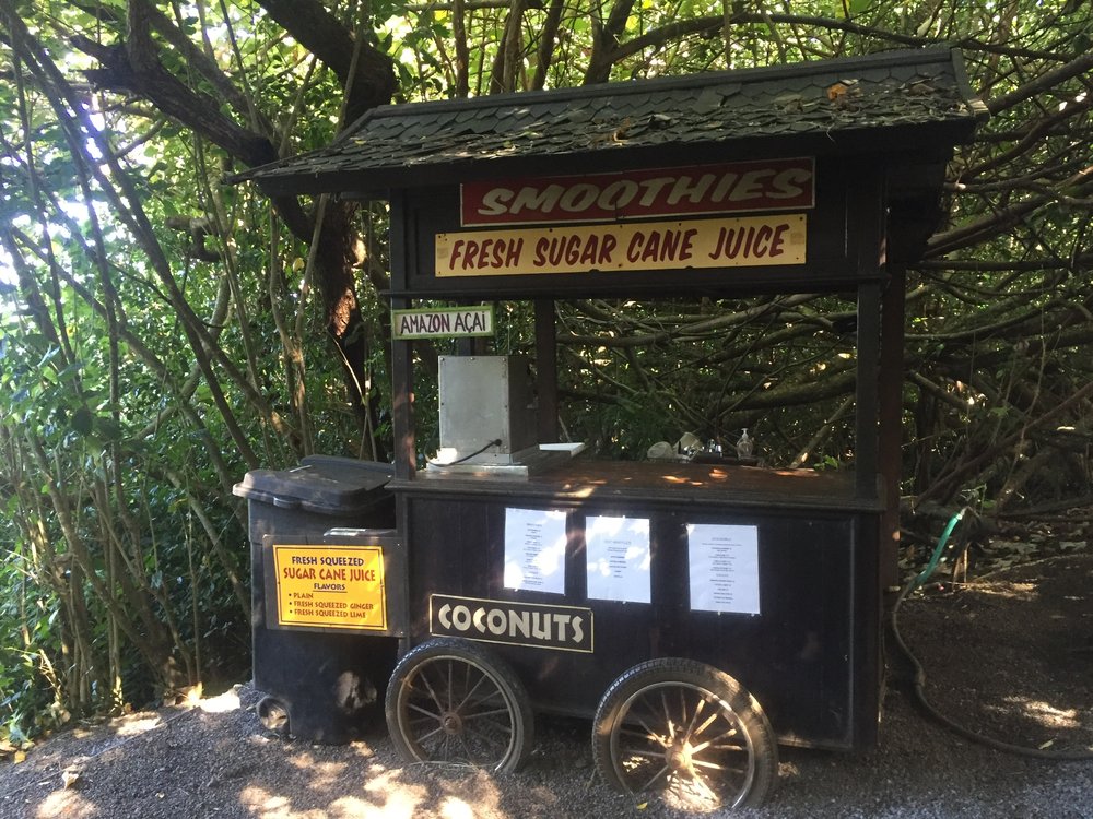 HAWAII COCONUT PROTECTORS Updated June 2024 Makawao, Hawaii Gardeners Phone Number Yelp