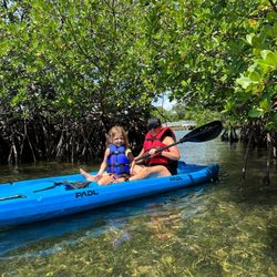 PADL - Kayaking through the Mangroves