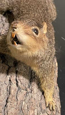 Houmas House Estate and Gardens by null