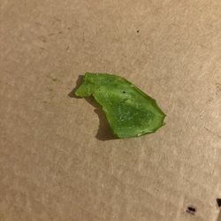 Bravo Pizza Lompoc - Some of the green pepper that was supposedly sautéed