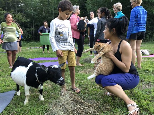 Sunflower Farm Creamery by null