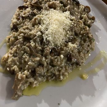 Il Vivo - Truffle risotto - Italian Near Me - Rotes Velles, PM Il Vivo - Truffle risotto - Italian Near Me - Rotes Velles, PM