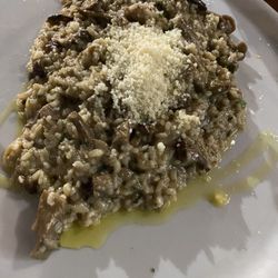 Il Vivo - Truffle risotto