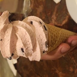 Raspberry Chocolate Chip
