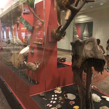 Field Museum - Museums Near Me - Chicago, Illinois Field Museum - Museums Near Me - Chicago, Illinois