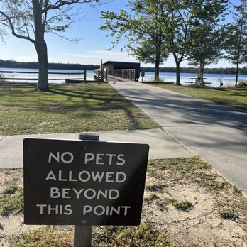 Jones Lake State Park - No pets in swim area - Parks Near Me - Elizabethtown, North Carolina Jones Lake State Park - No pets in swim area - Parks Near Me - Elizabethtown, North Carolina