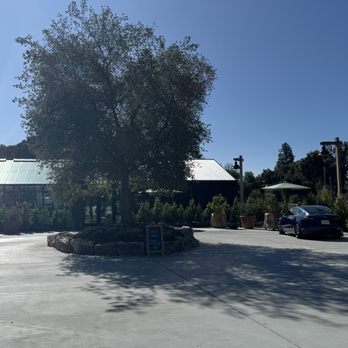 Valley Goat - New American Near Me - Sunnyvale, California Valley Goat - New American Near Me - Sunnyvale, California