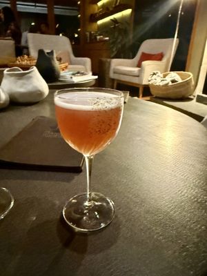 Paperbark Camp by null