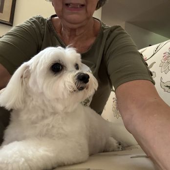 All Stage Canine Development - Pet Training Near Me - Citrus Heights, California