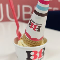 Single scoop ($4.79); Pecan Pralines and Cream in a cup w/ sugar cone on top