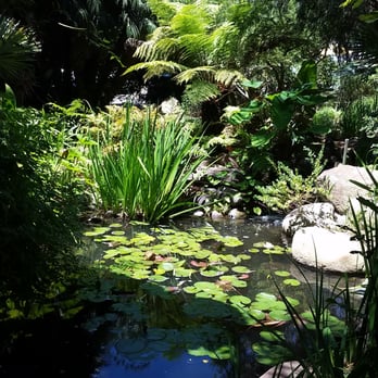 The Garden Spa - Such a relaxing place!! Love it. - Skin Care Near Me - Encinitas, California