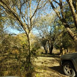 Hobbit Gardens - Beyond the garden is a wooded area and a sweat lodge