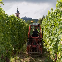 Domaine Claude et Christophe Bléger