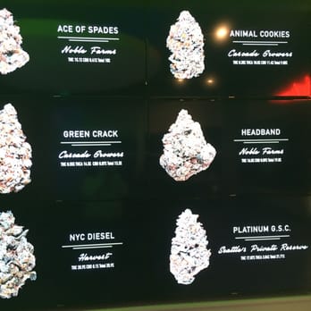 The Reef - Bremerton - Cannabis Dispensaries Near Me - Bremerton, Washington The Reef - Bremerton - Cannabis Dispensaries Near Me - Bremerton, Washington