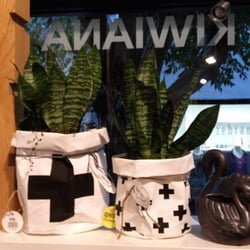Funky Gifts NZ