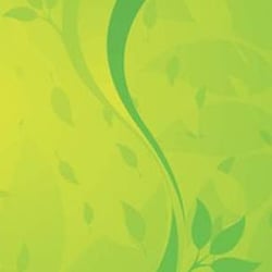 SakeBodyWorks - Sake, Licensed Massage Therapist, Craniosacral Therapist, Healer