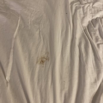 Red Roof PLUS+ Boston - Logan - Dried blood - Hotels Near Me - Saugus, Massachusetts