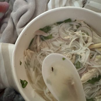 Van Vietnamese Cuisine 2 - Roaches in soup - Vietnamese Near Me - Pāhoa, Hawaii