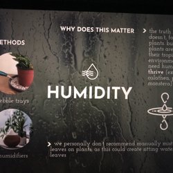 Your Home! - All about humidity