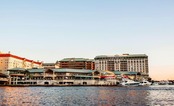 American Social - Bar & Kitchen - Tampa by null