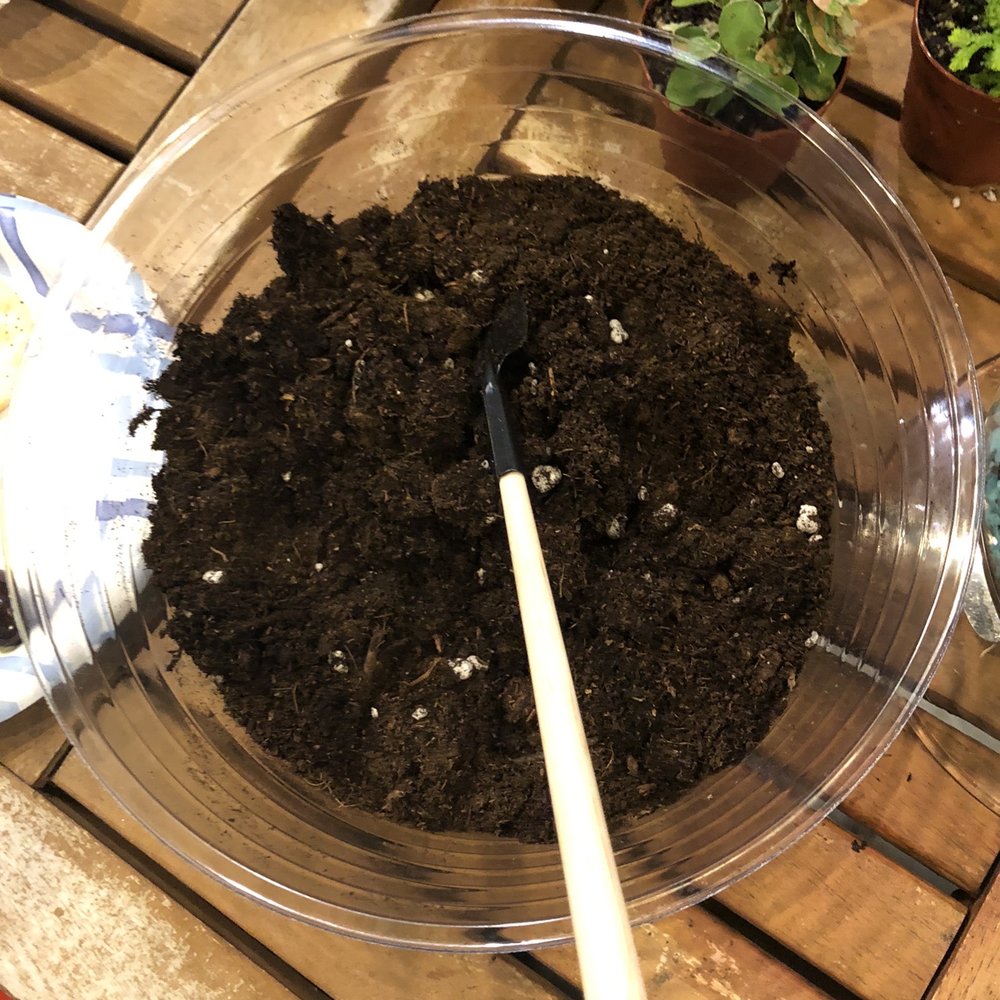 Plant Garage - Magical soil to make your plants grow faster (wink wink) - Home Decor Near Me - Denver, Colorado Plant Garage - Magical soil to make your plants grow faster (wink wink) - Home Decor Near Me - Denver, Colorado