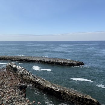 Wilder Ranch State Park - Tons of birds on these rocks! - Parks Near Me - Santa Cruz, California Wilder Ranch State Park - Tons of birds on these rocks! - Parks Near Me - Santa Cruz, California