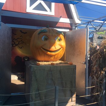 Nicks Garden Center - Nurseries & Gardening Near Me - Aurora, Colorado Nicks Garden Center - Nurseries & Gardening Near Me - Aurora, Colorado