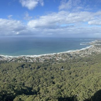 Perfect Day Sydney - Cliffside stop, stunning. - Bus Tours Near Me