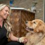 Photo of Complete Dental Care - Jackson A. Bean, DDS