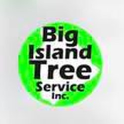 Big Island Tree Service