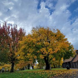 Overlook Park