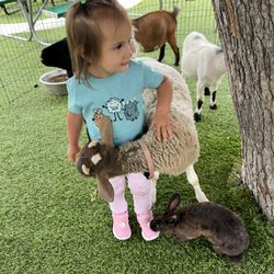 Sierra Preschool & After School