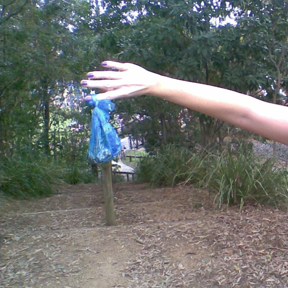 Woolcock Park - Dog waste disposal bins abound, so be prepared. - Parks Near Me - Ashgrove, QLD