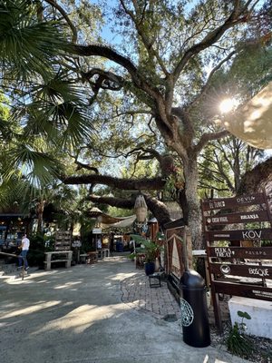 Casa Vigil Miami by null Casa Vigil Miami by null