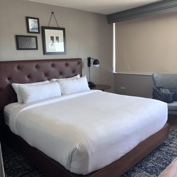 Four Points by Sheraton Boston Newton - Hotels Near Me - Newton, Massachusetts Four Points by Sheraton Boston Newton - Hotels Near Me - Newton, Massachusetts