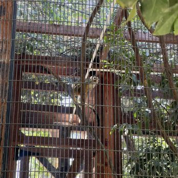 Wildlife Learning Center - Zoos Near Me - Sylmar, California