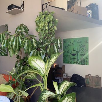 Kobros Coffee - Coffee & Tea Near Me - Norfolk, Virginia