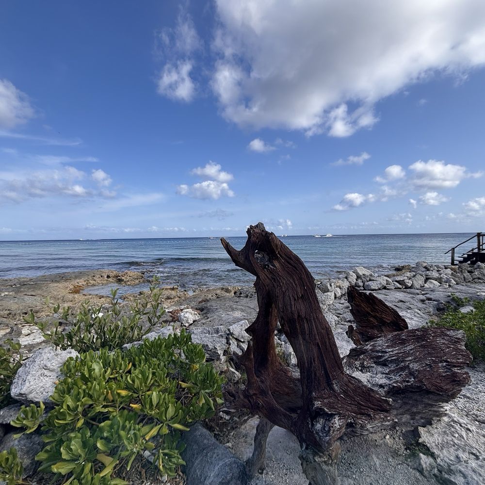 Sky Reef - Mexican Near Me - Cozumel, ROO