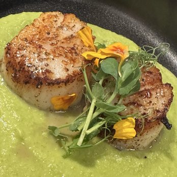 Atticus - Scallops - Perfectly tender in middle-little crispy on top. Edible flowers -sweet pea puree. Tiny portions but really done well. - Wine Bars Near Me - Fairhope, Alabama Atticus - Scallops - Perfectly tender in middle-little crispy on top. Edible flowers -sweet pea puree. Tiny portions but really done well. - Wine Bars Near Me - Fairhope, Alabama