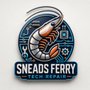 Sneads Ferry Tech Repair