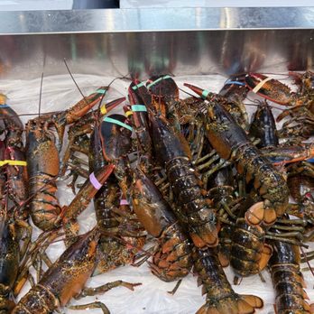 H Mart - Orlando - Who wants lobsters that are priced reasonably? - International Grocery Near Me - Pine Hills, Florida H Mart - Orlando - Who wants lobsters that are priced reasonably? - International Grocery Near Me - Pine Hills, Florida